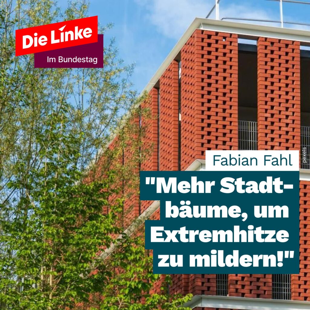 Fabian Fahl: Mehr Stadtbäume, um Extemhitze zu mildern!